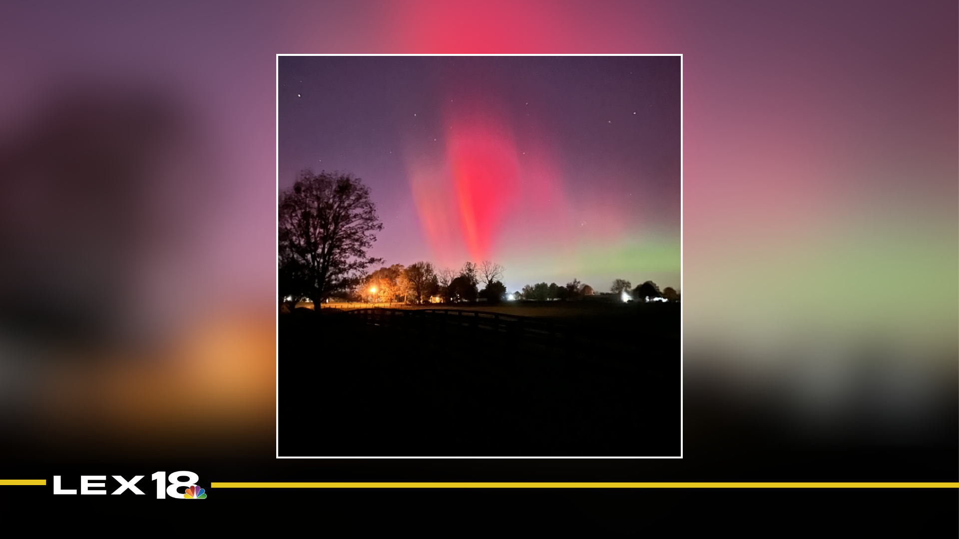 mugshot template  (98).png