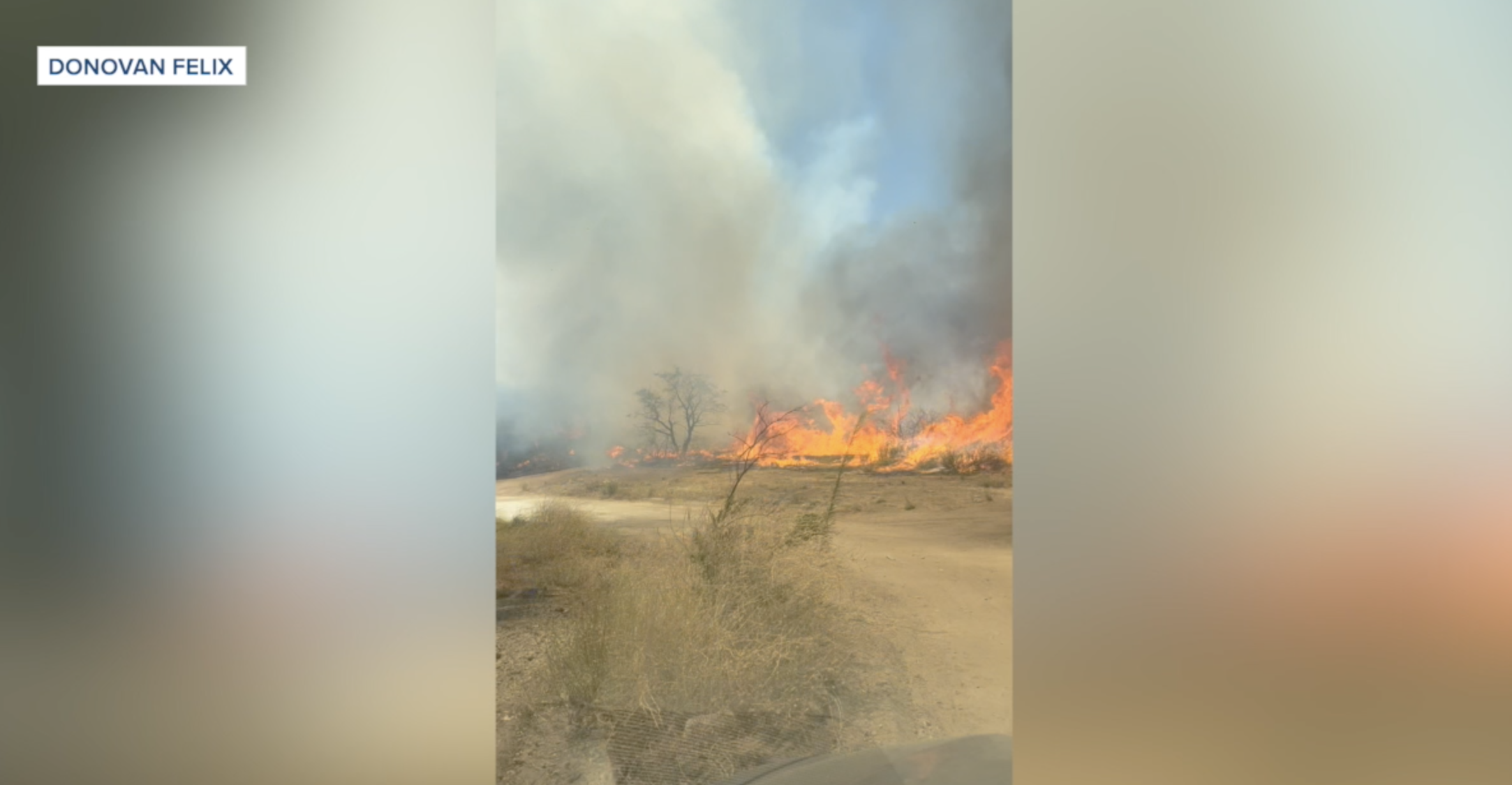 Potrero man escapes Coyote Fire near origin of wildfire; family's home burned