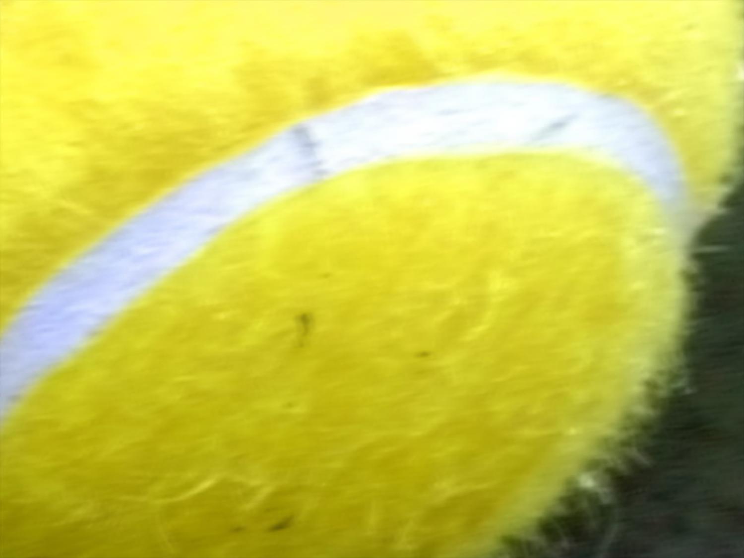 AP1208241339.jpg