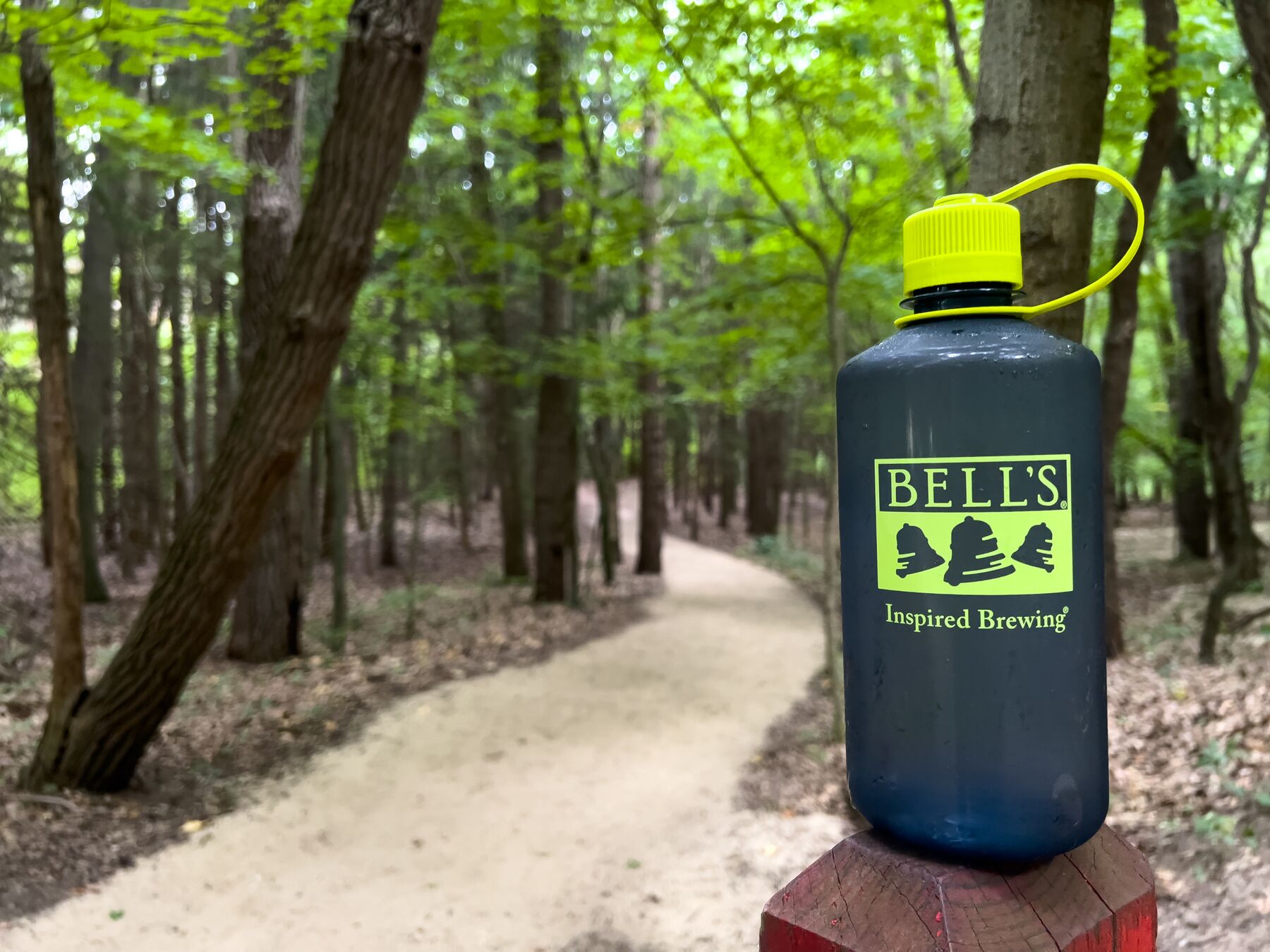 Large JPG-Go Where the Trail Leads You_FJK_Trail_IMG_1012.jpg