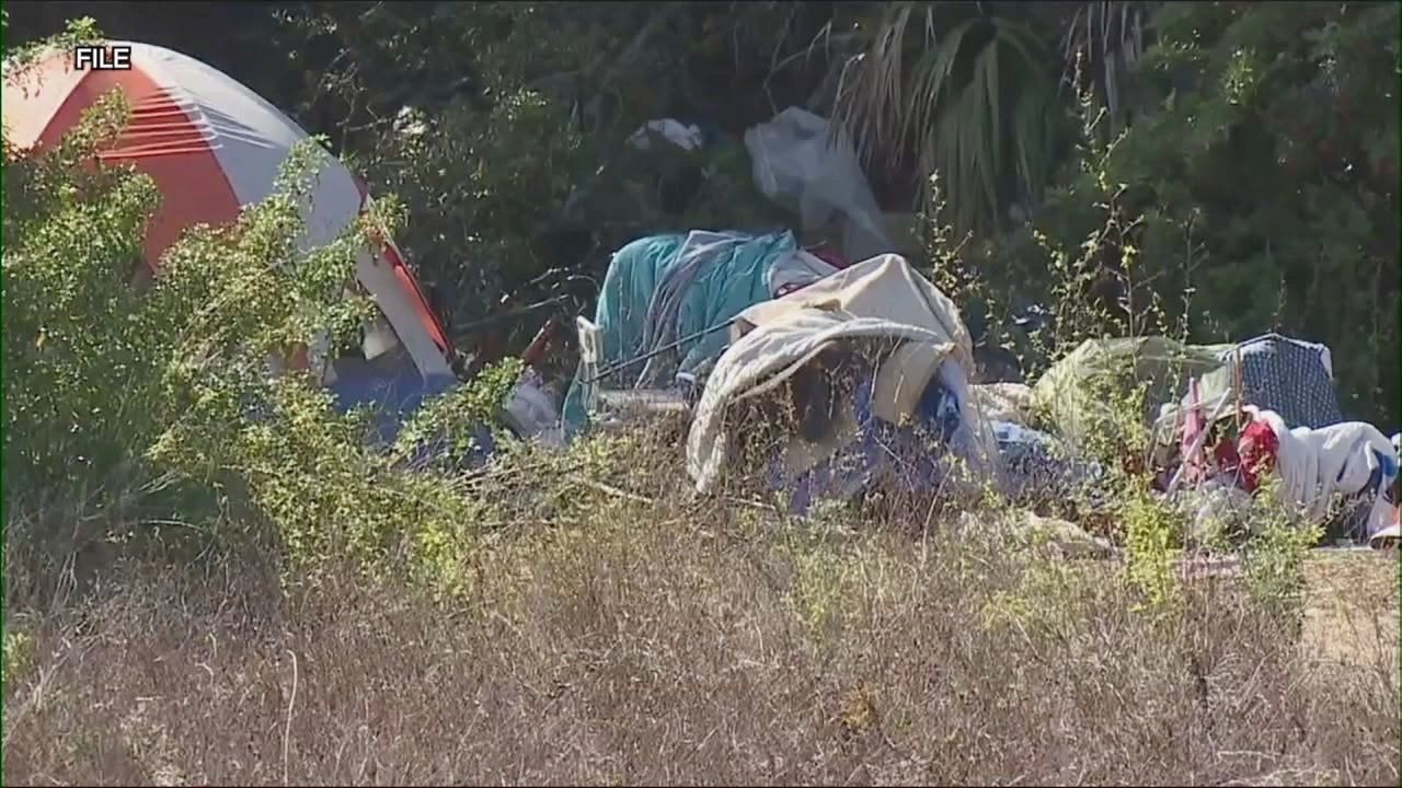 homeless population.png