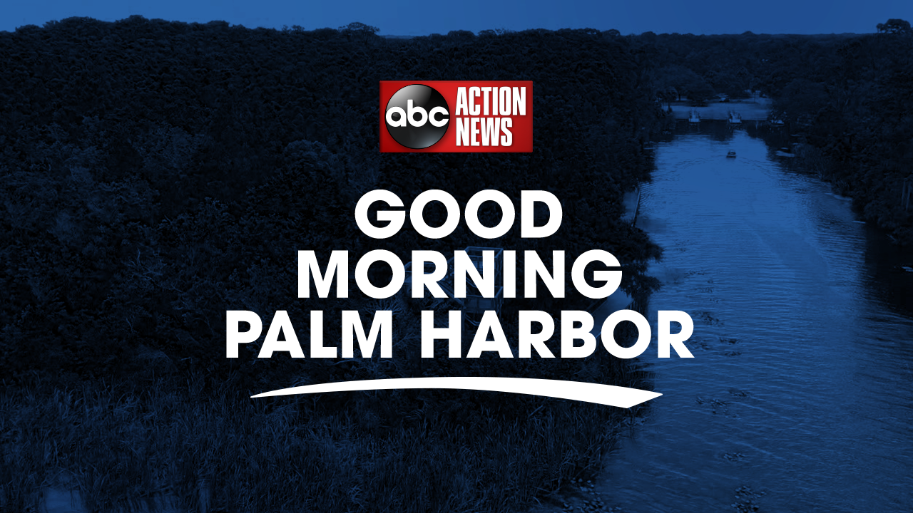 good morning palm harbor.png
