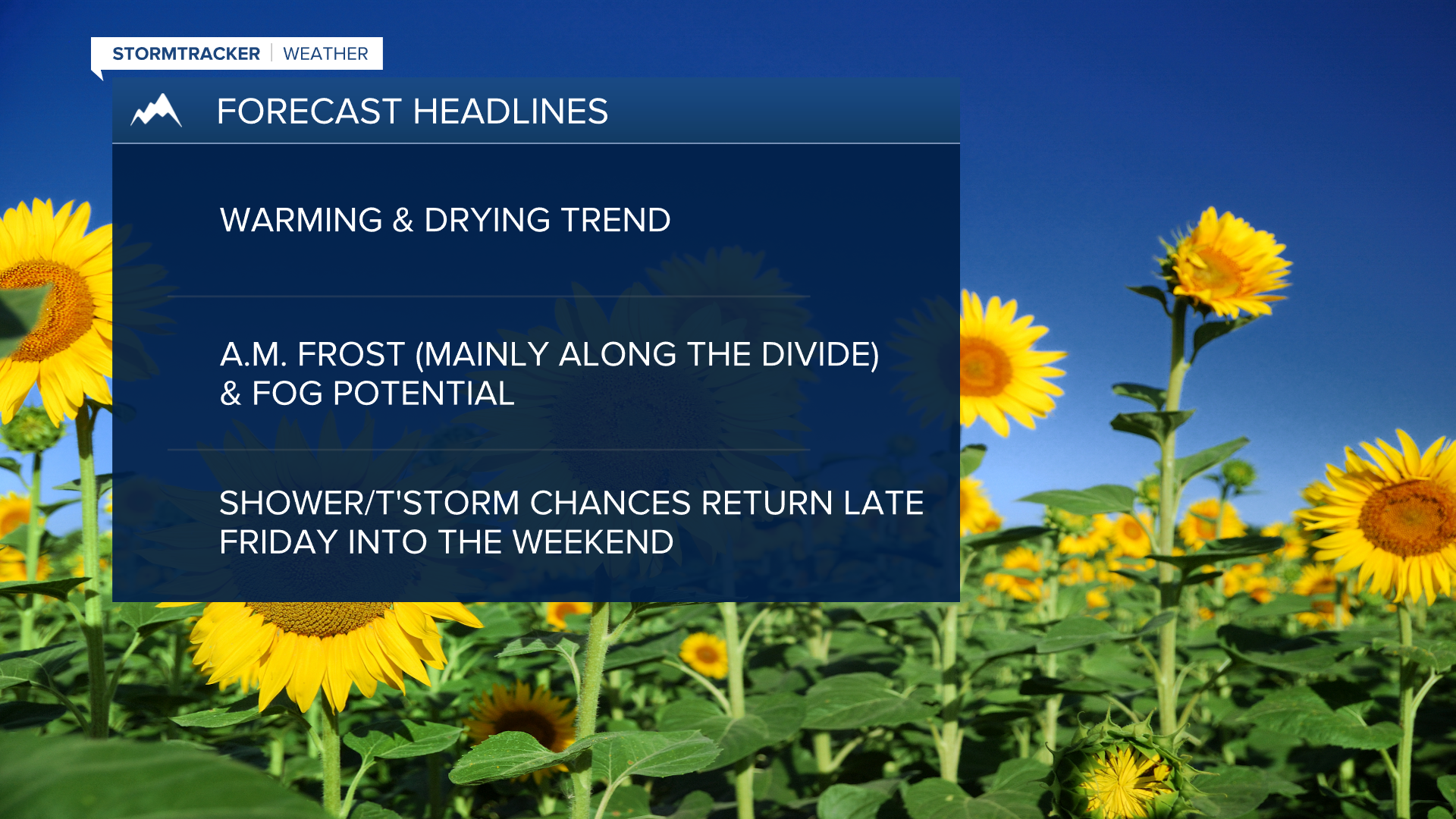 WX Headlines