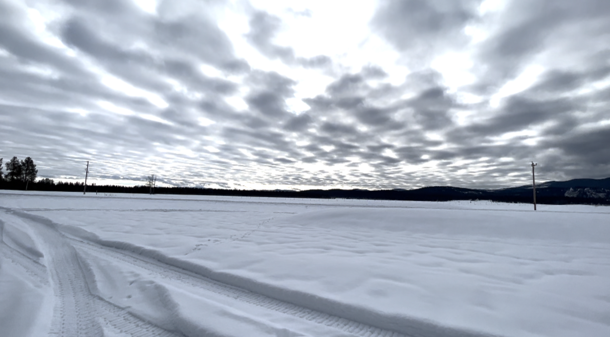 Conservation Easement 