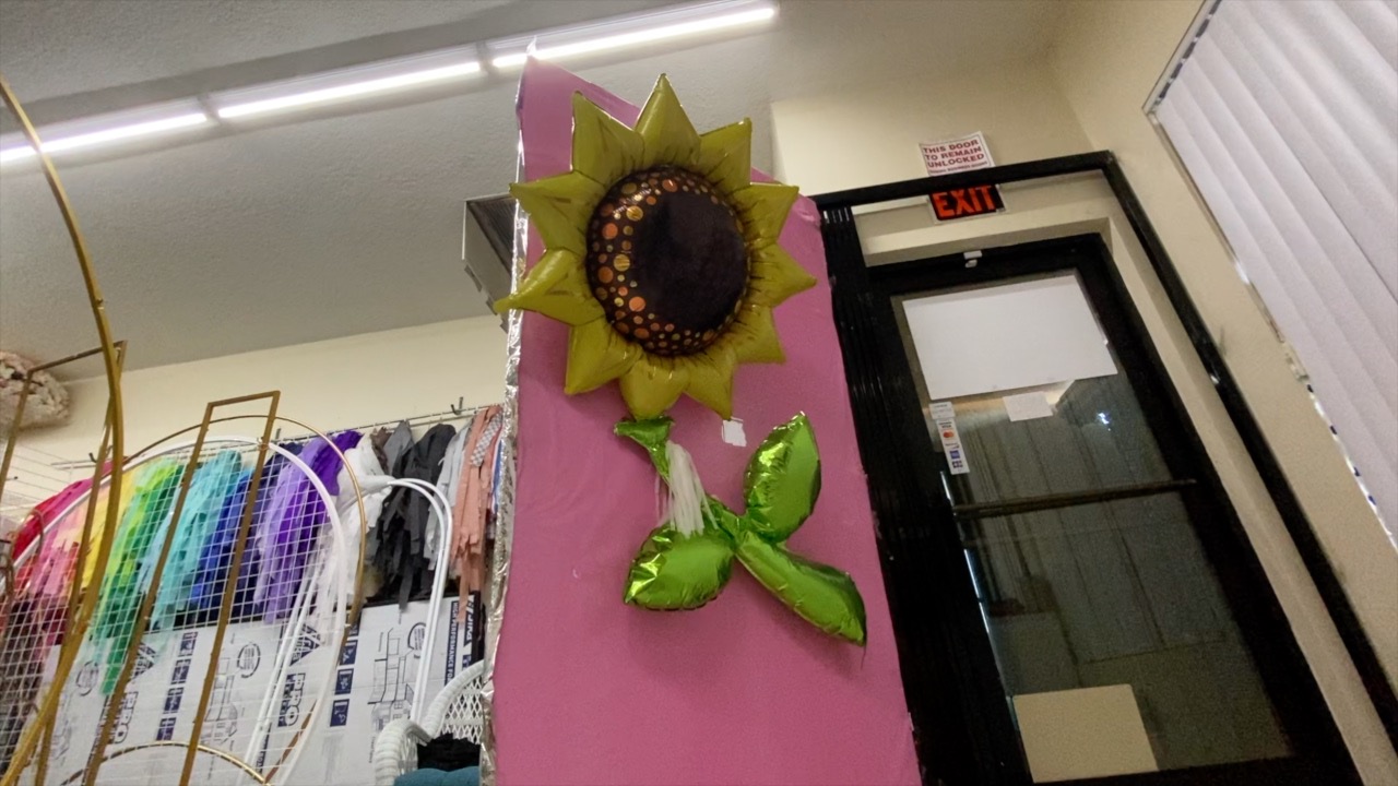 MYLAR BALLOON FILE 