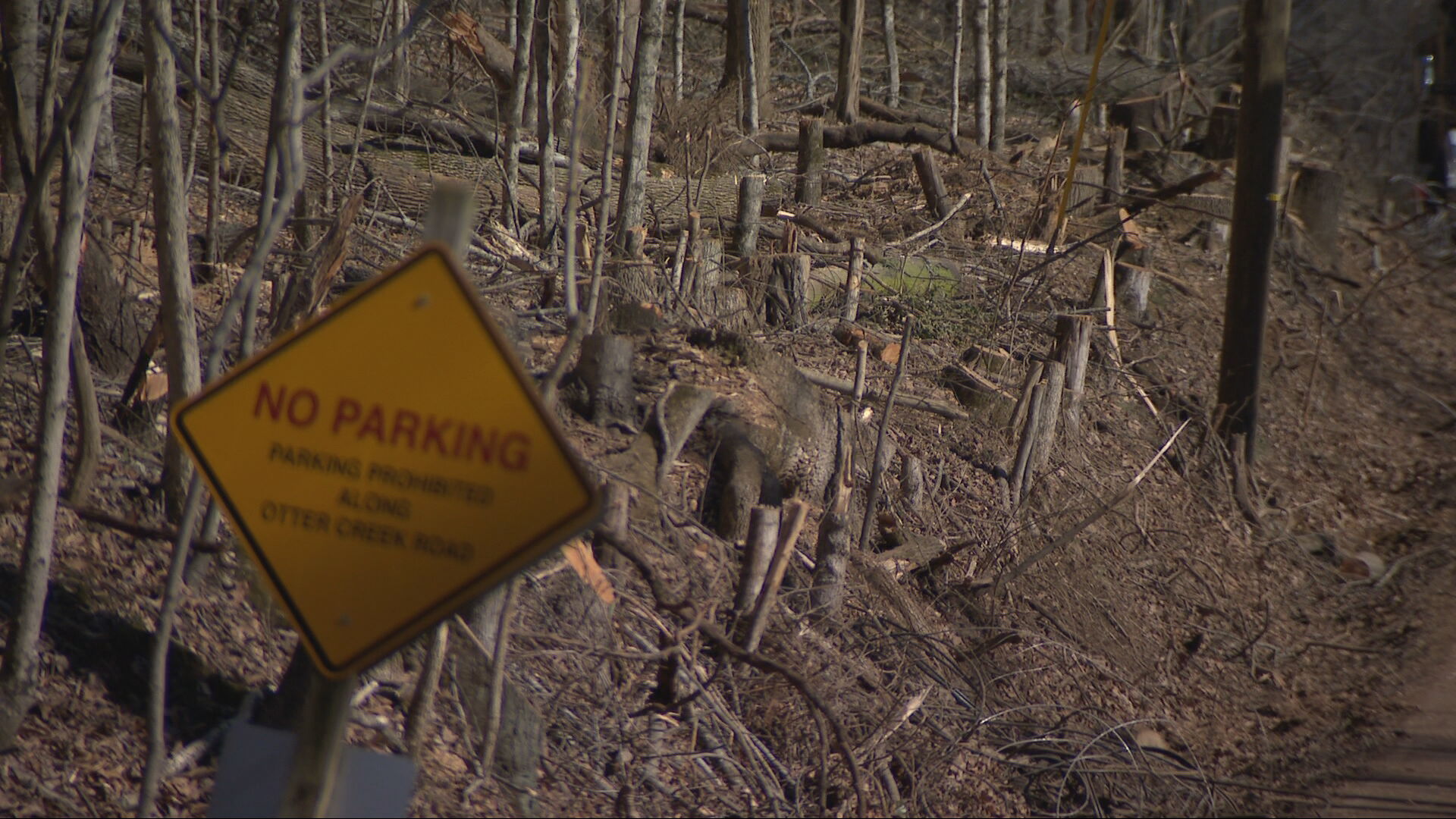 Radnor Lake damage
