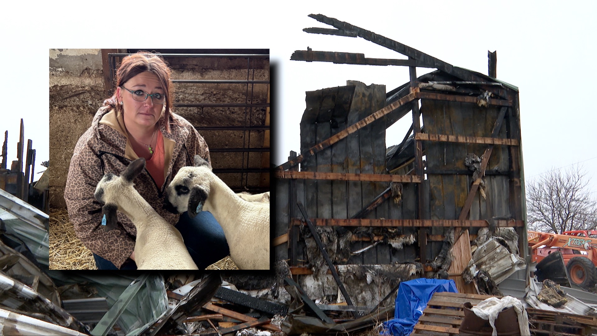 sheep barn fire cover pic.jpg