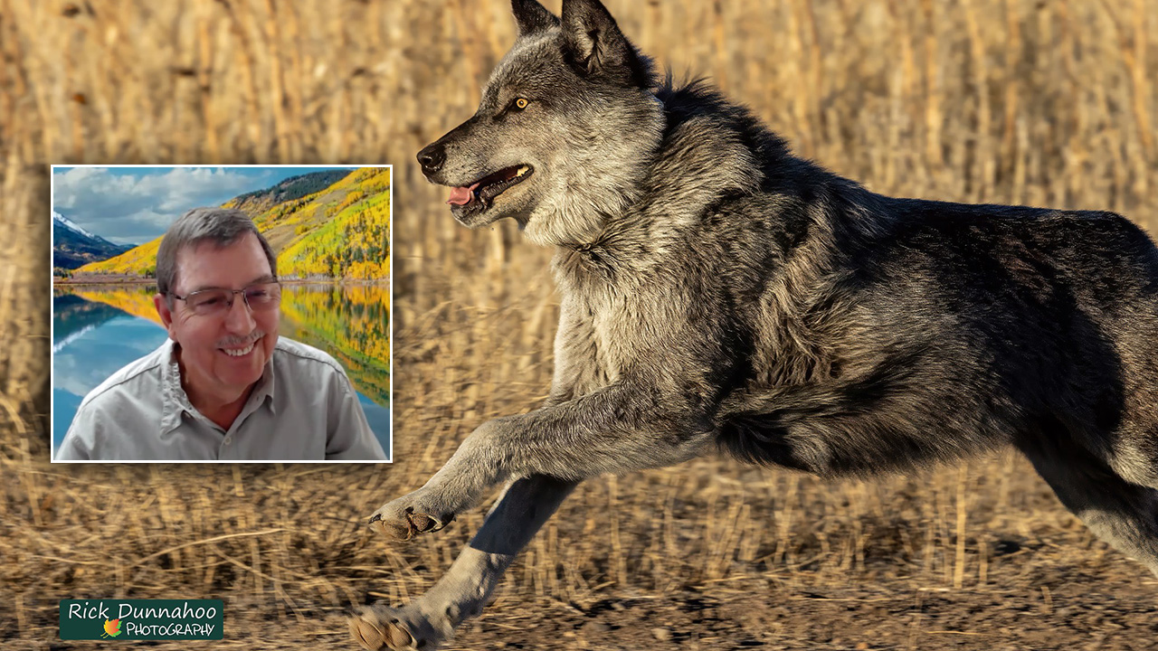 Rick Dunnahoo and wolf.jpg