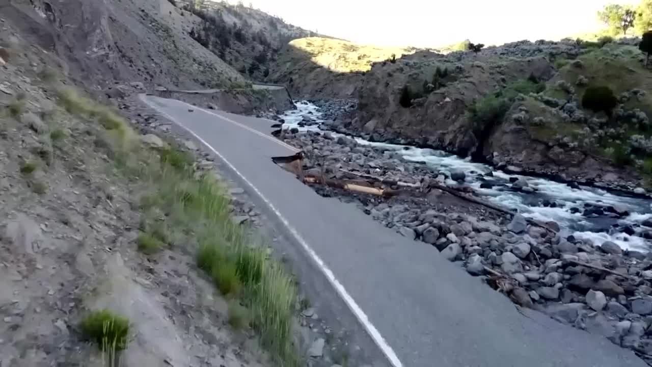 ynp damage sherer.jpg