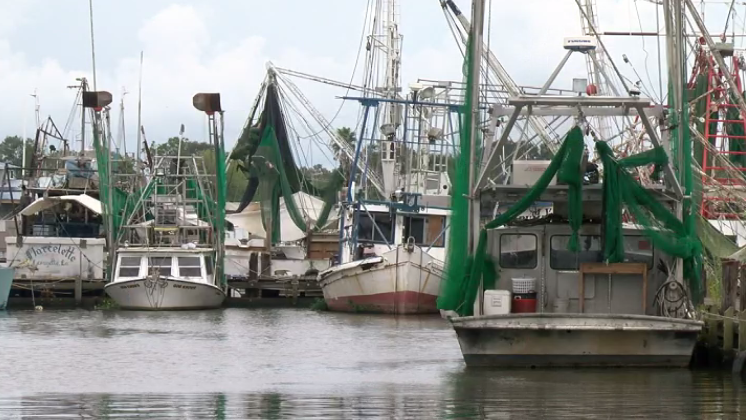 Delcambre Shrimping boats.PNG