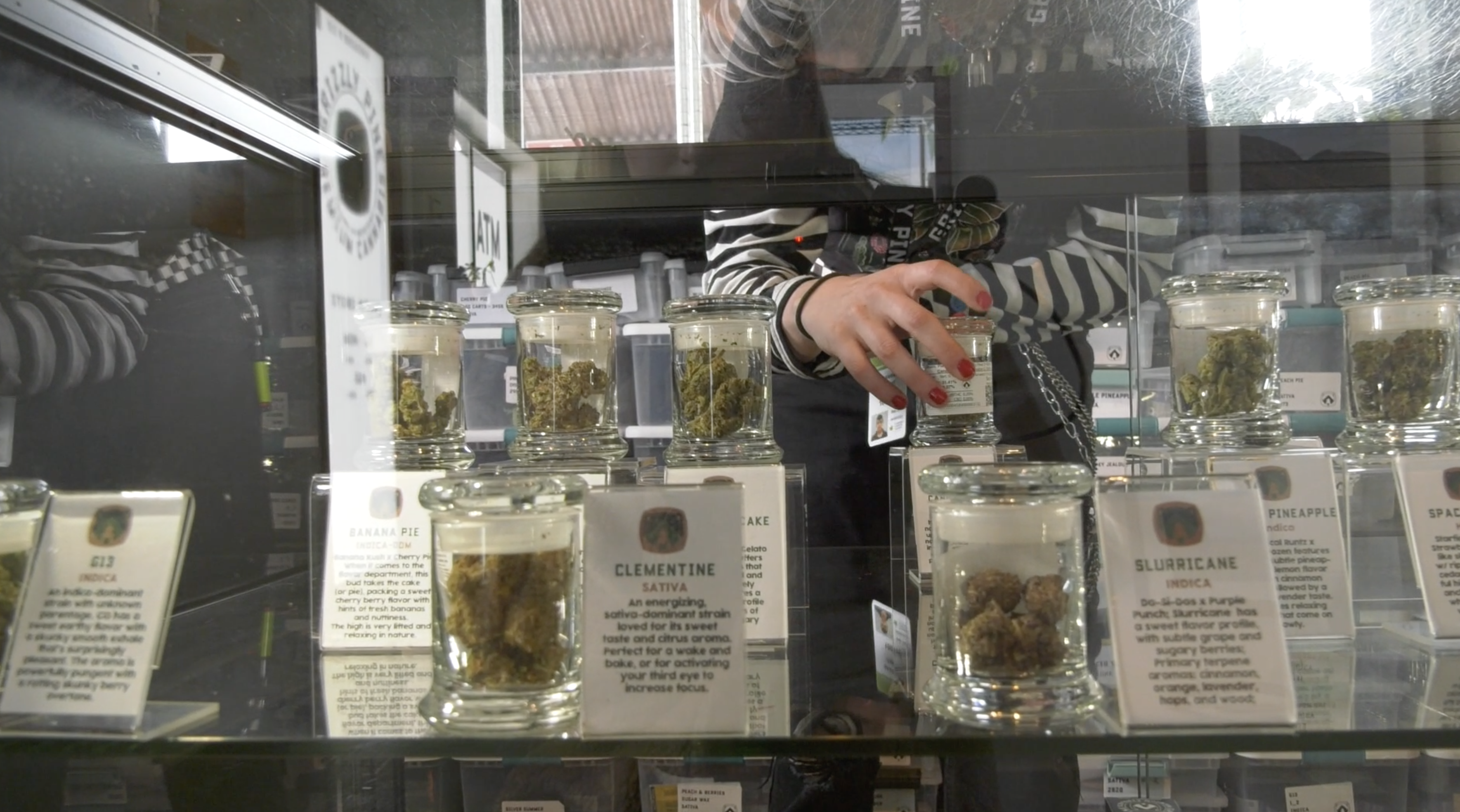 Recreational marijuana sales boosting Montana business, dispensary owner says - Vimarsana News