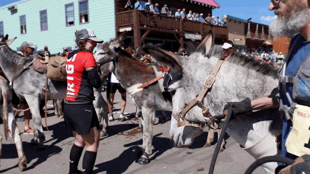 burro race gifs
