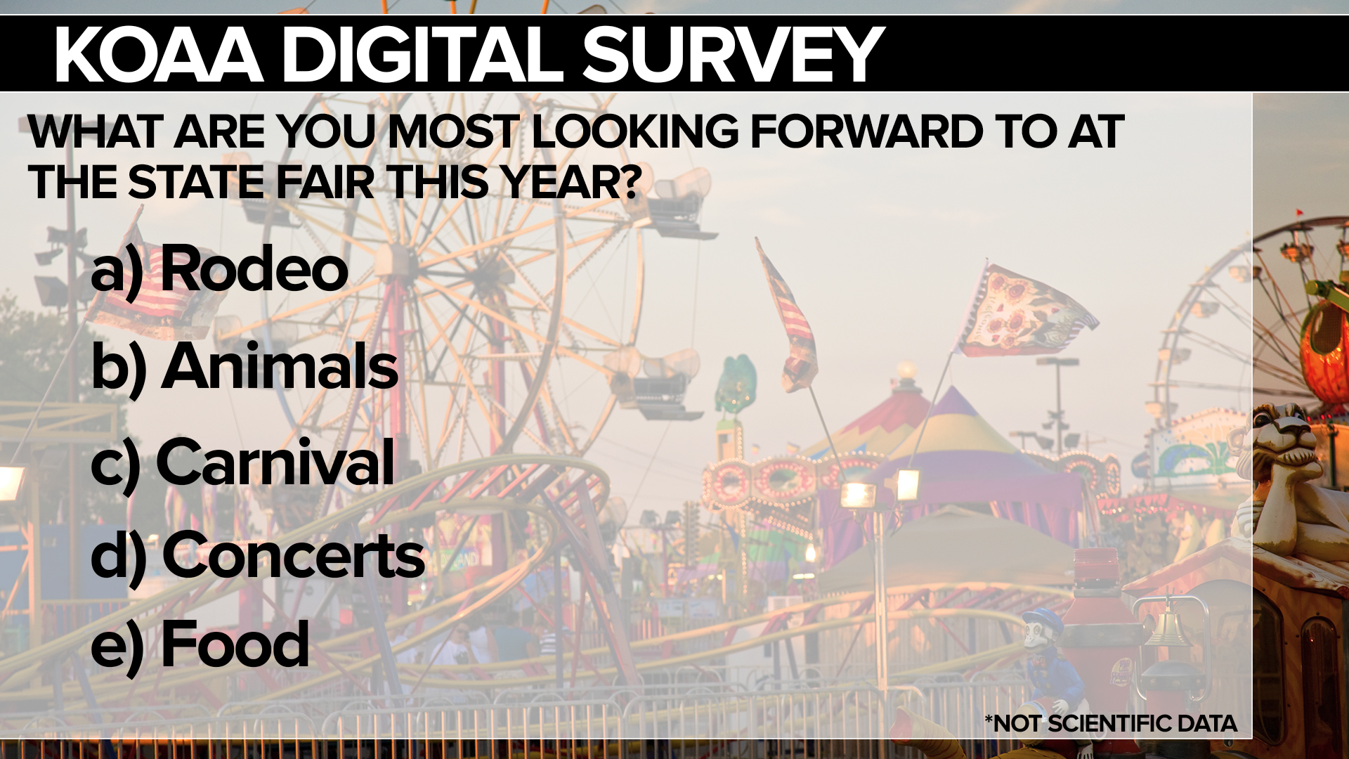 SURVEY State Fair.jpg