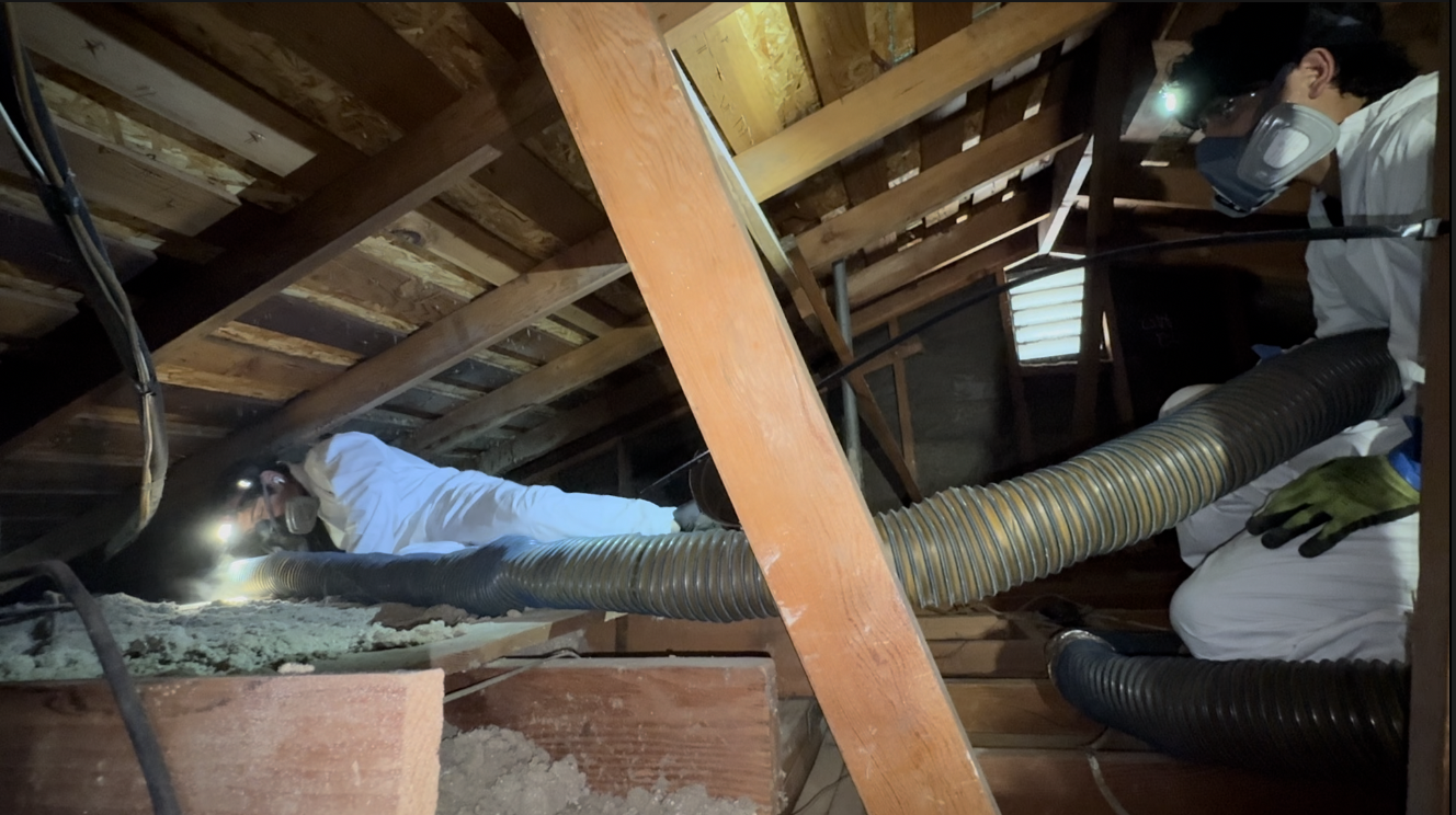 Crew working on attic insulation inside a Poway home during the summer.