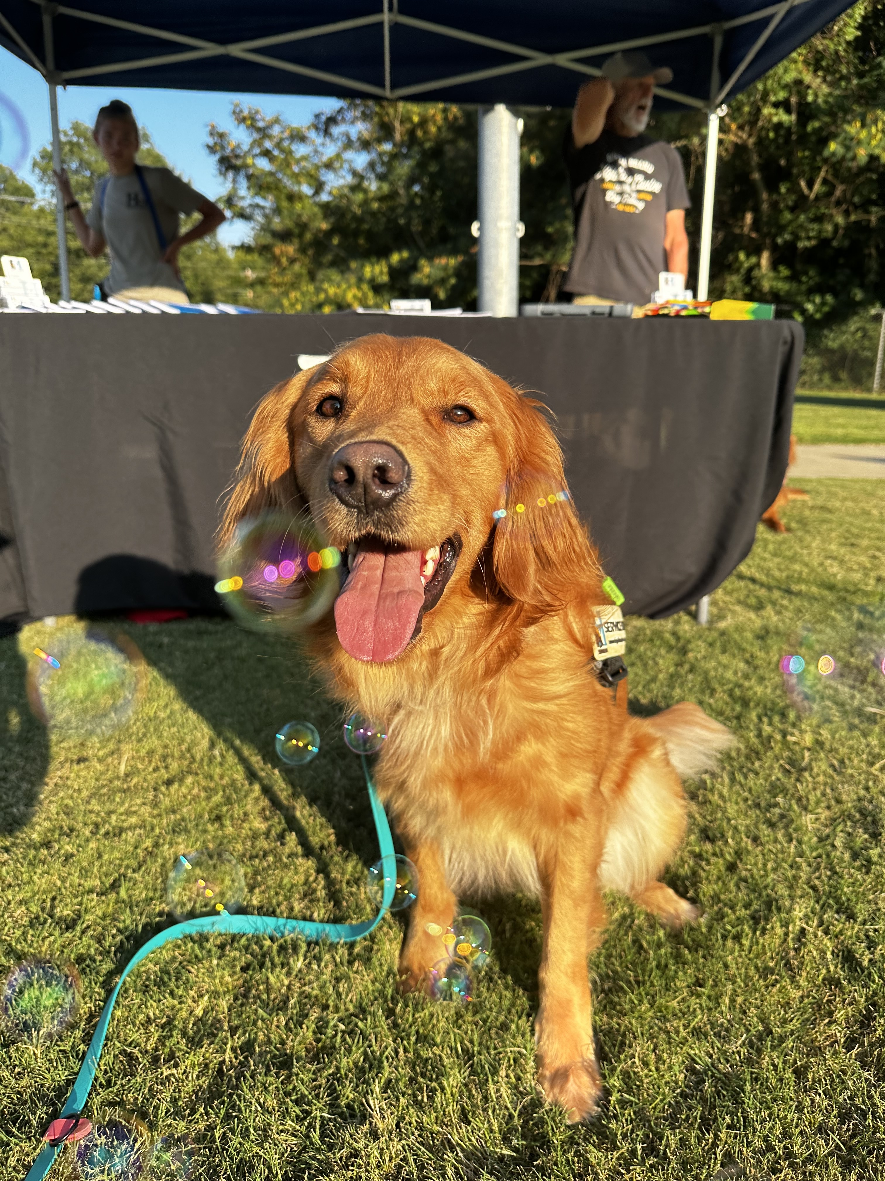 Sadie.  Courtesy of Kelly Ashling - Infinite Rainbow Studios