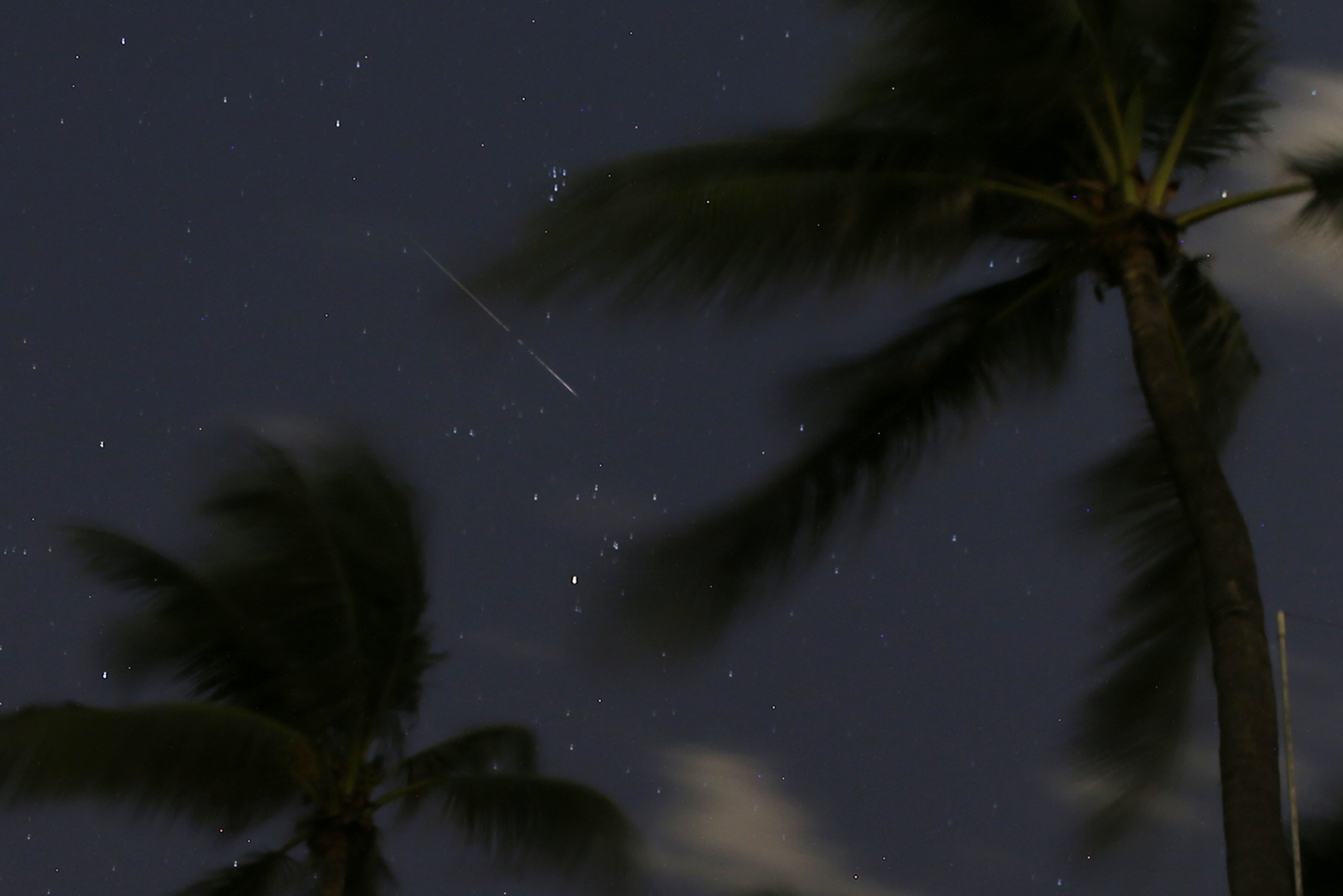 In this long-exposure photo, a meteor streaks across the sky, seen above palm trees, in Bal Harbour, Fla., early Monday, Aug. 13, 2018, during the Perseid meteor shower. 