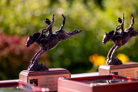 ProRodeo HOF.png