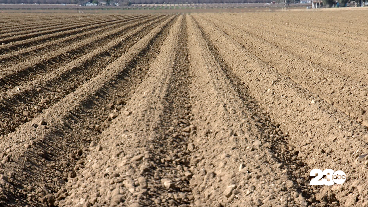 Dry Farm Field, Bakersfield (FILE)