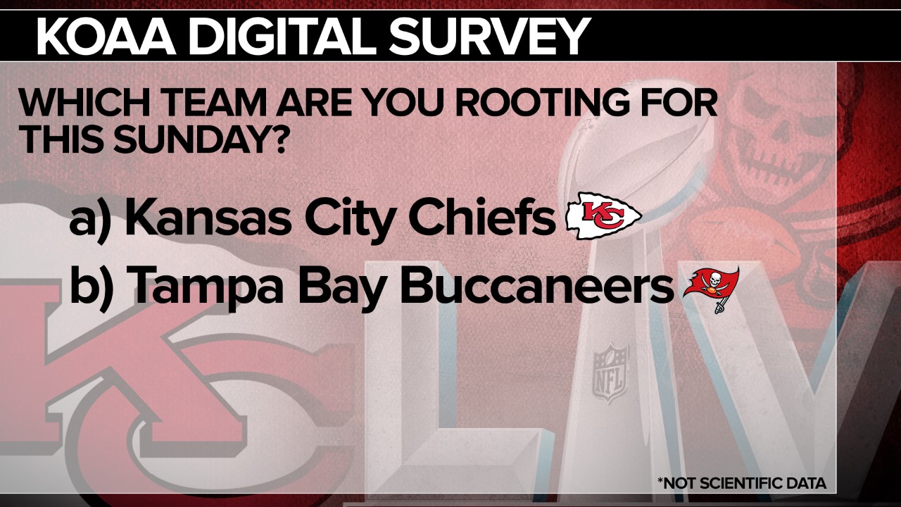 Which team are you rooting for in the Super Bowl?