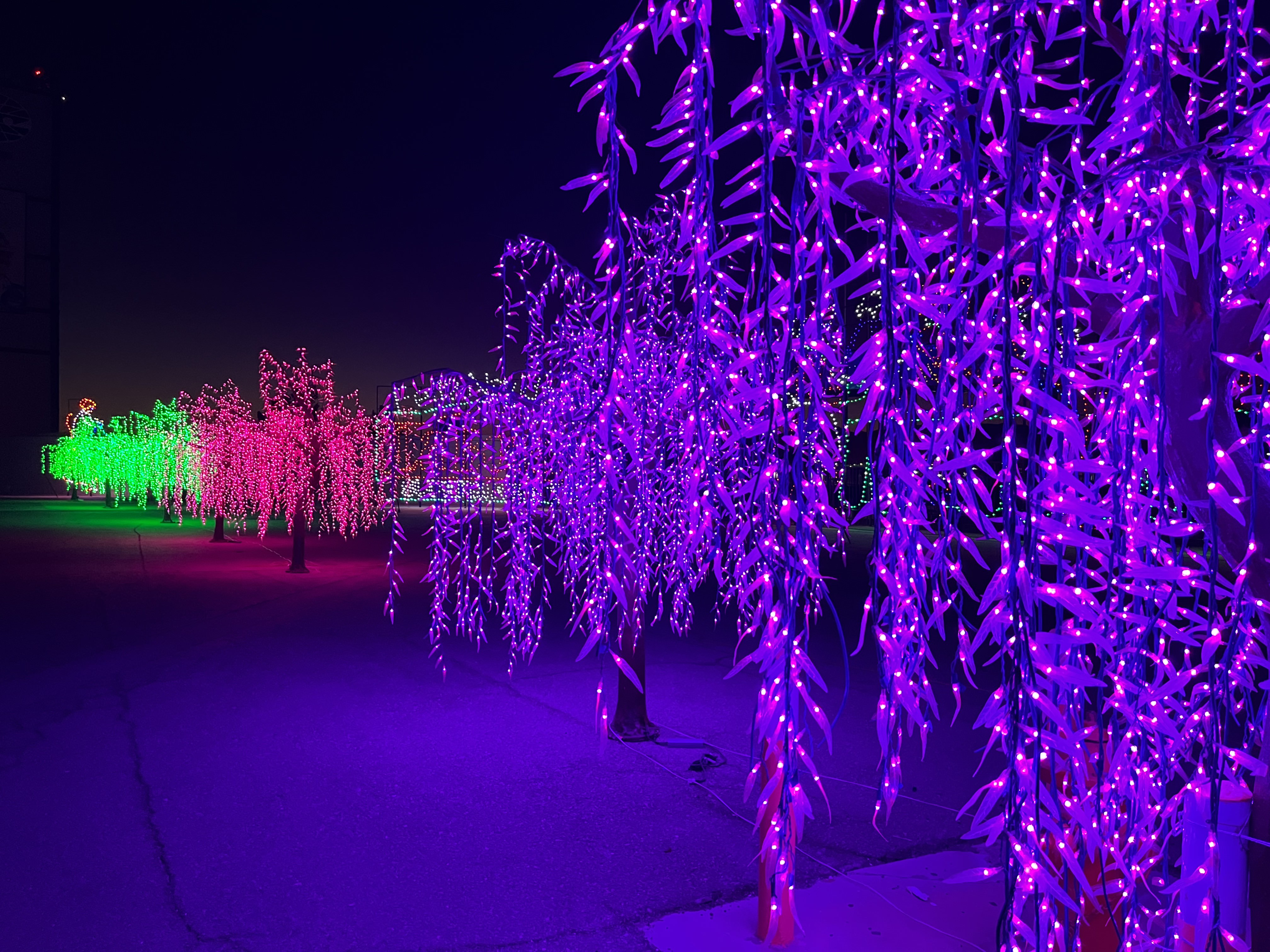 Neon Forest Trees