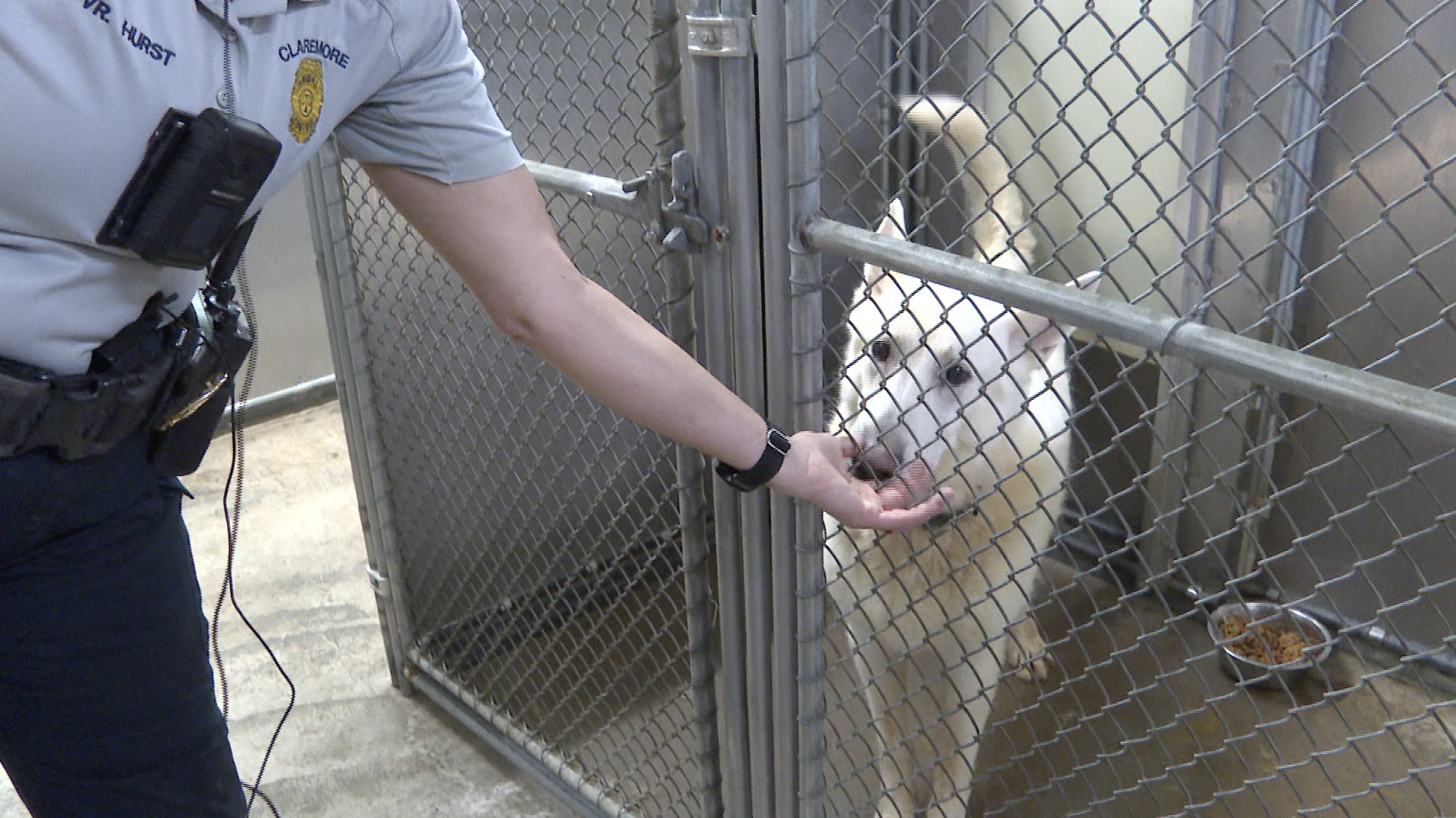 Claremore Animal Control Shelter dog kennels