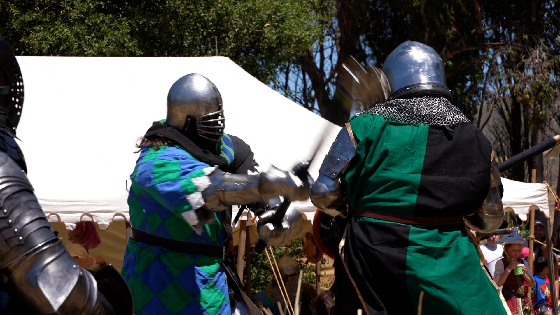 ren fair.jpg