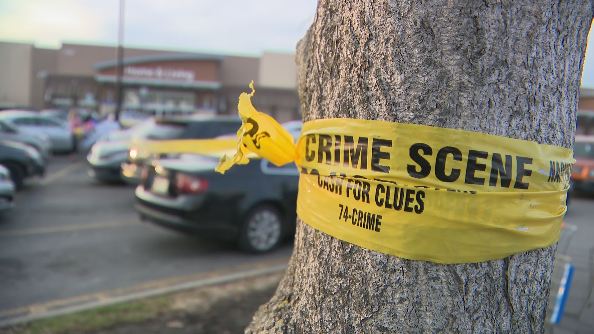 Walmart parking lot shooting investigation