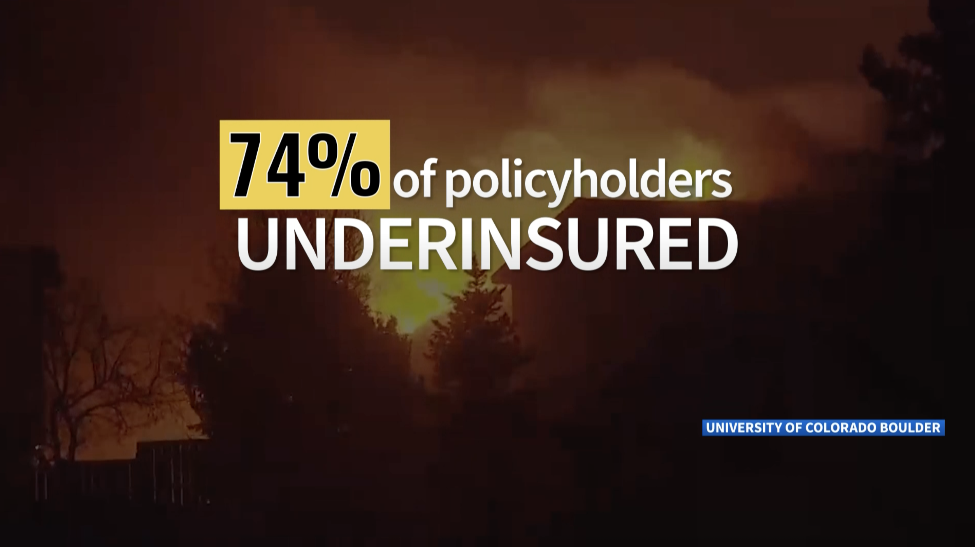 Graphic: 74% of policyholders uninsured 