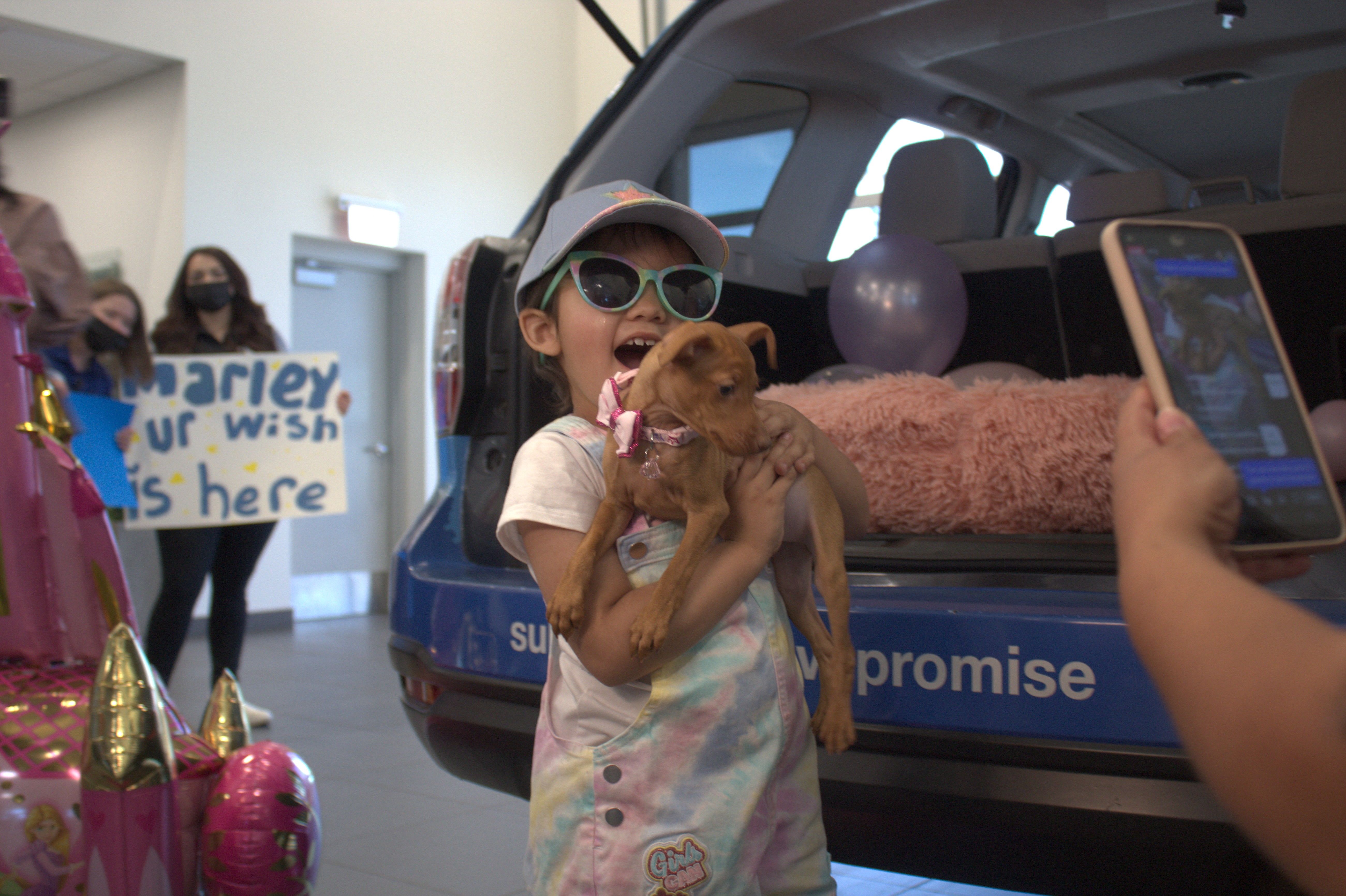 Marley Make a Wish.jpeg