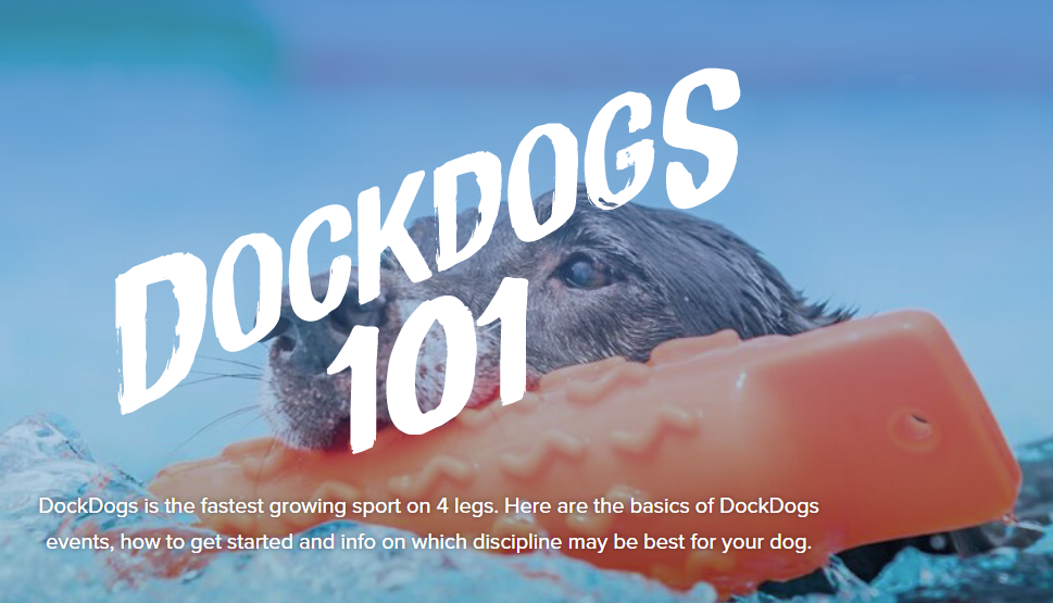 DockDogs - the world's premier canine aquatic event