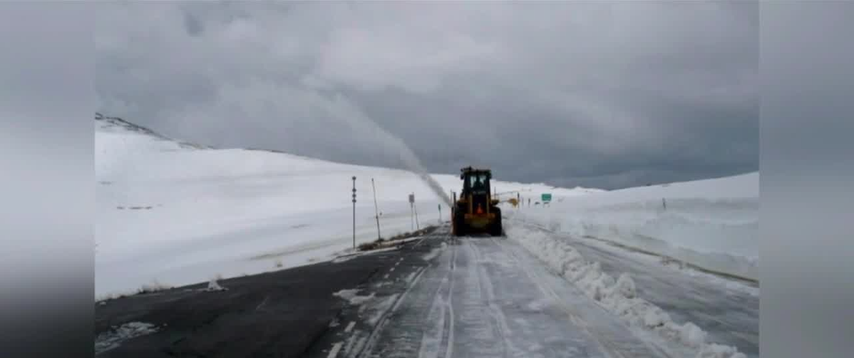 beartooth highway.png