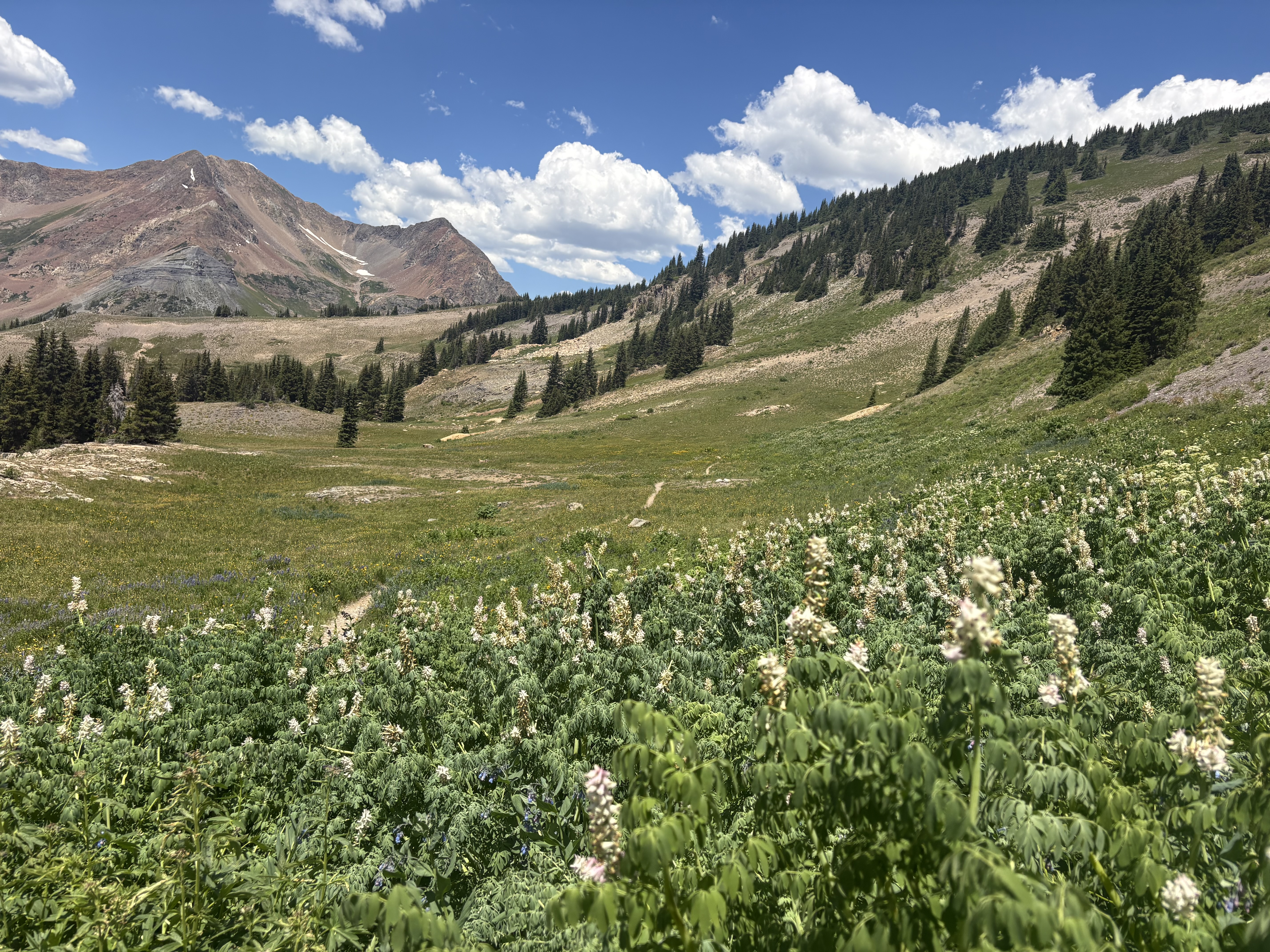 Scarp Ridge