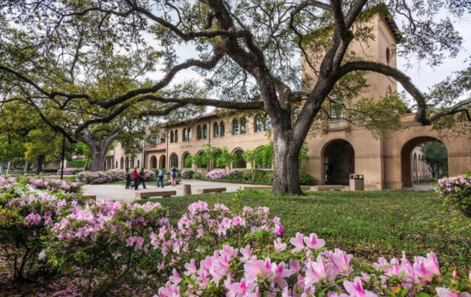LSU.PNG