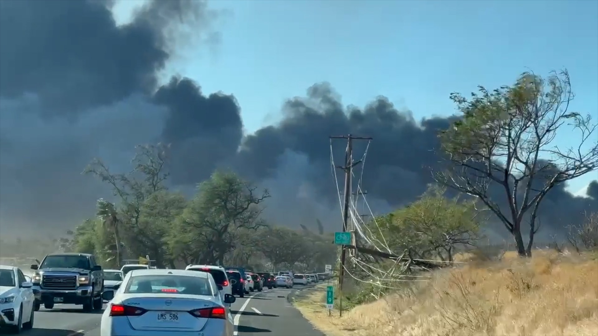Colorado Springs couple in Maui on vacation when wildfires started.jpg