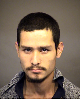 Daniel Villalobos-Espinoza.png