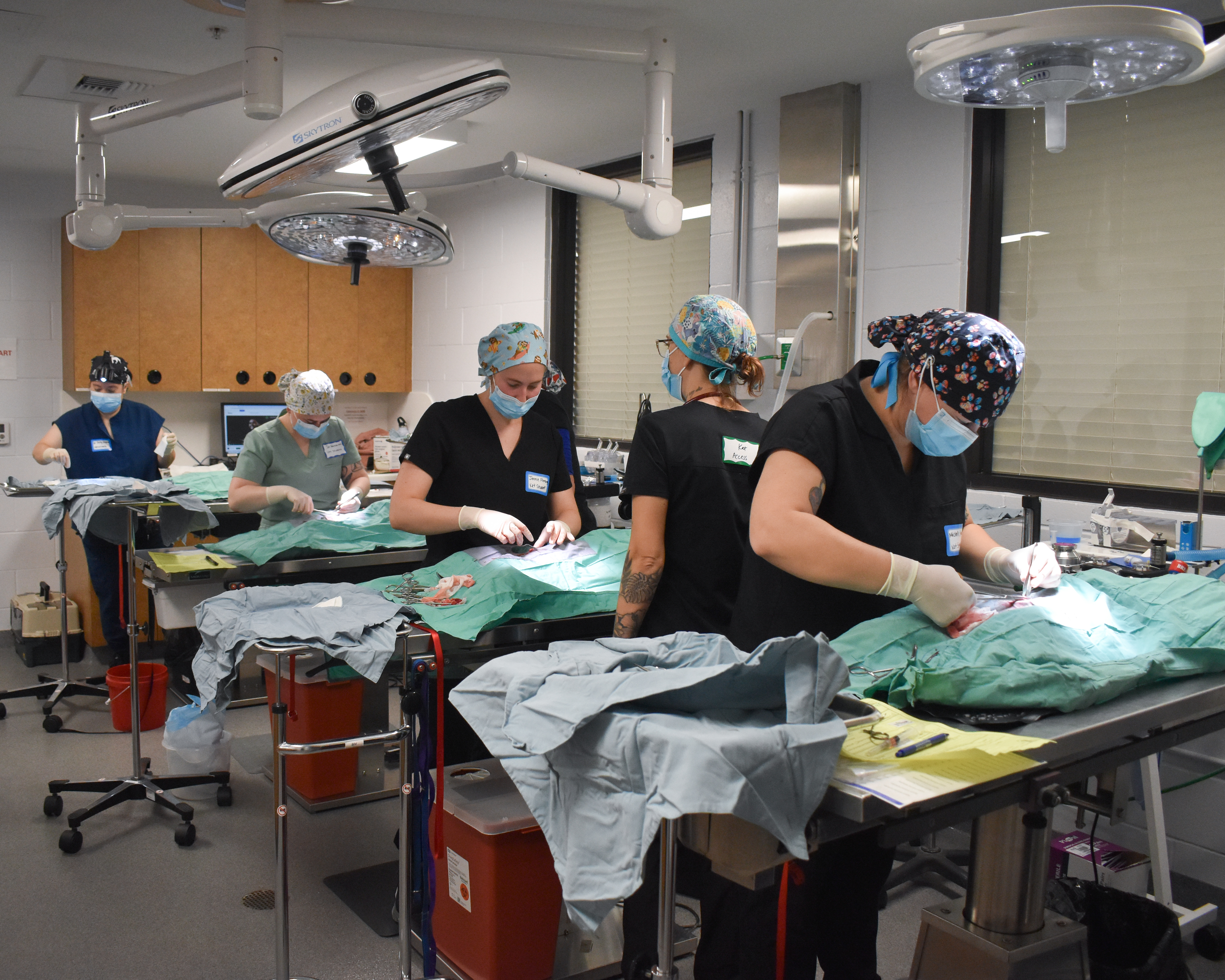 Peggy Adams Animal Rescue