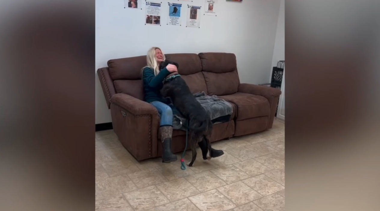 Screenshot 2025-12-23 at 6.29.02 PM.jpg