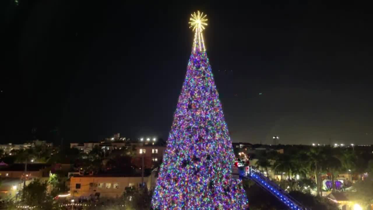 Delray Beach Christmas Tree on Dec. 2, 2025