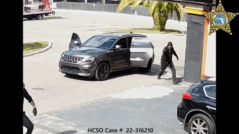 HCSO homicide.gif