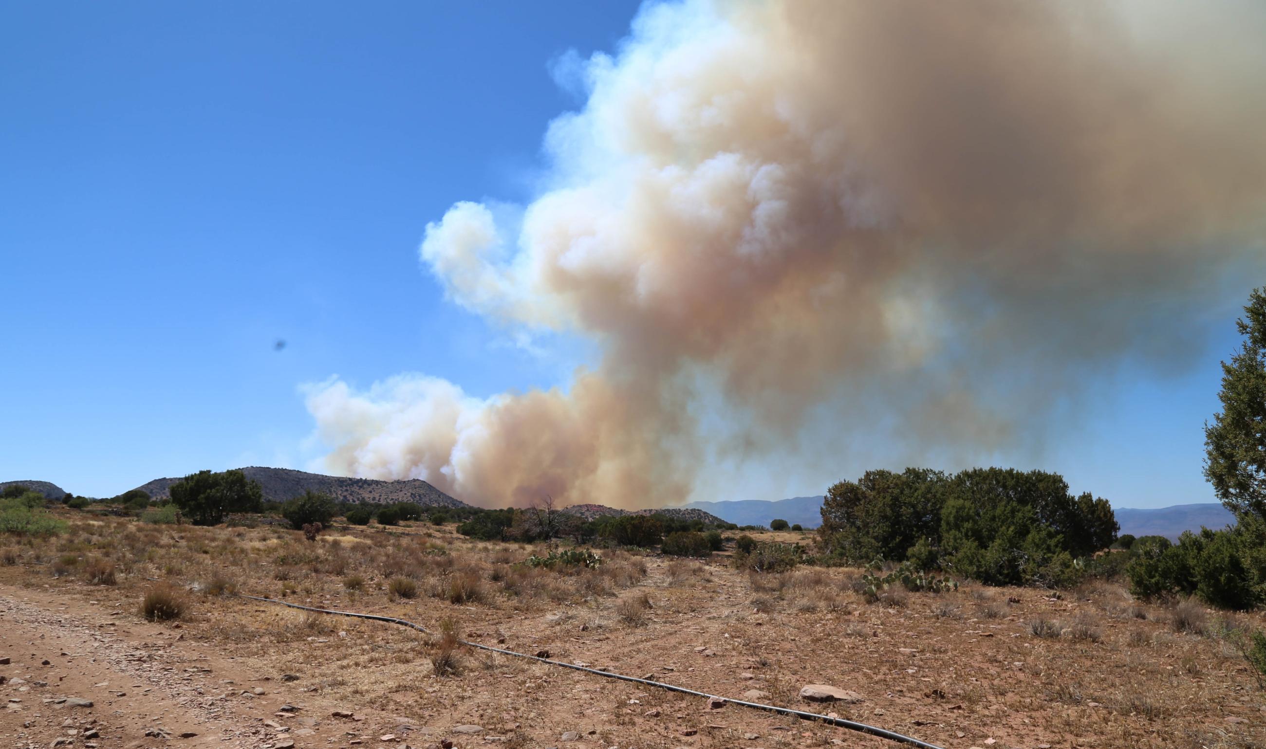 Sycamore Fire 
