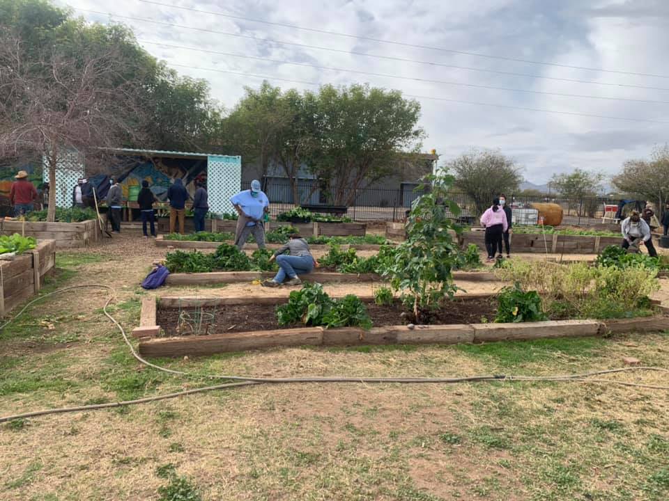 TigerMountain Foundation community garden