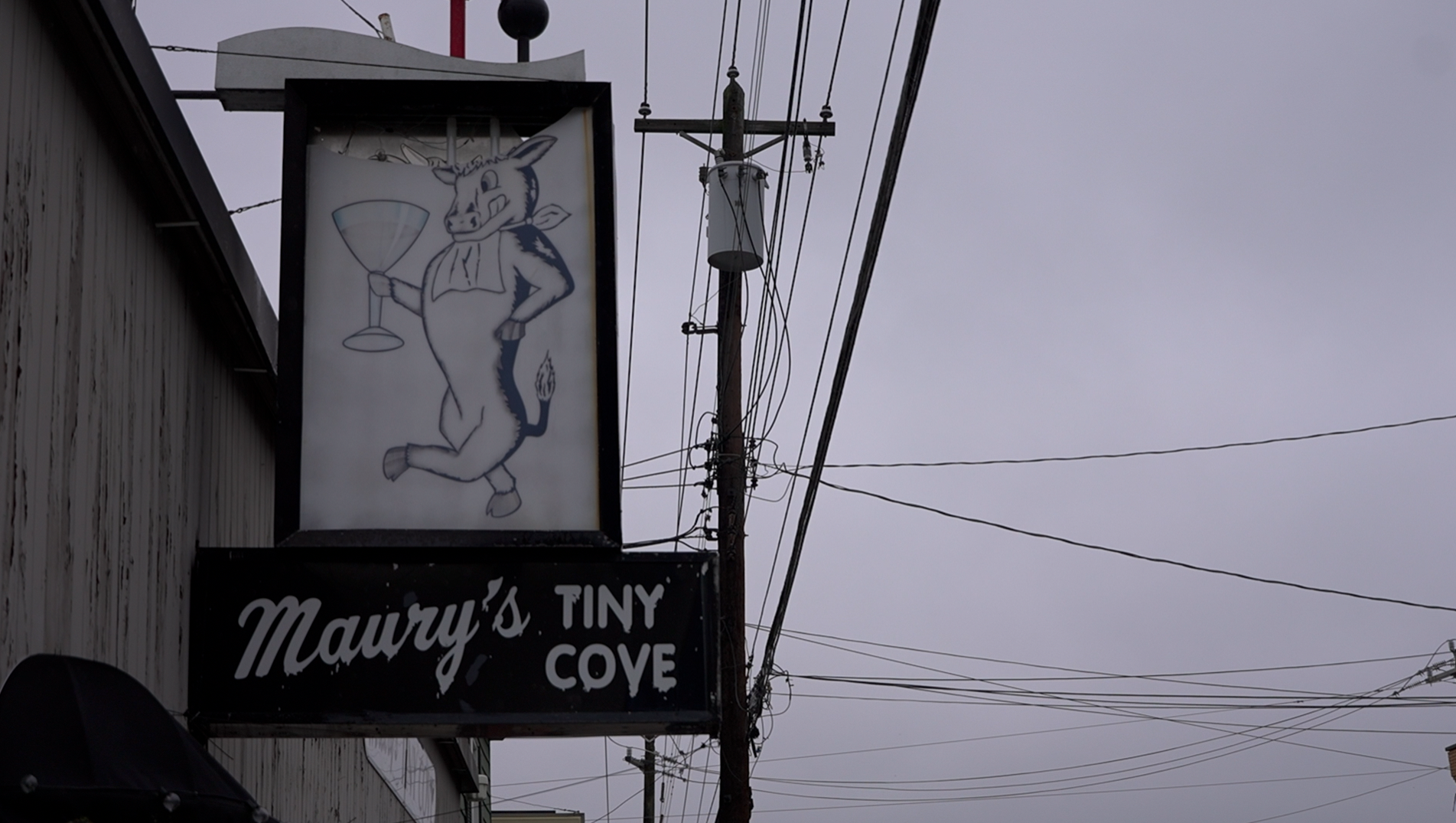 maury's tiny cove