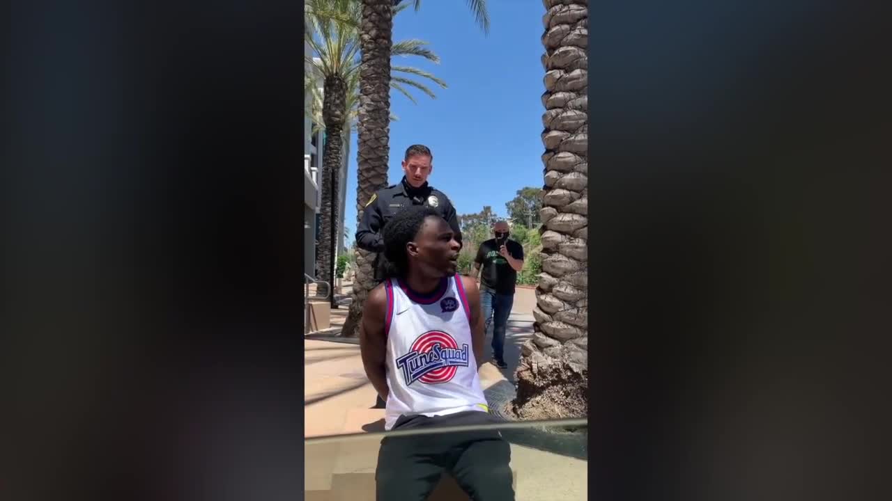 Incident between La Mesa officer, man at trolley station surfaces