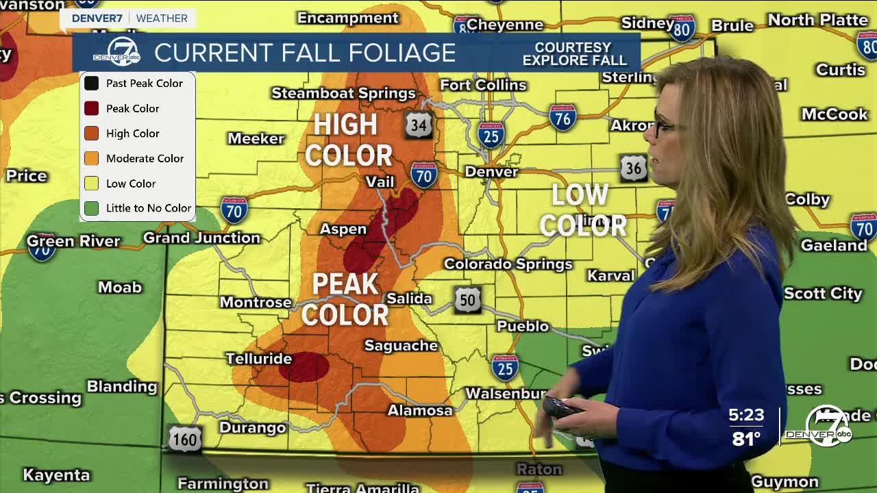 Current Fall Foliage