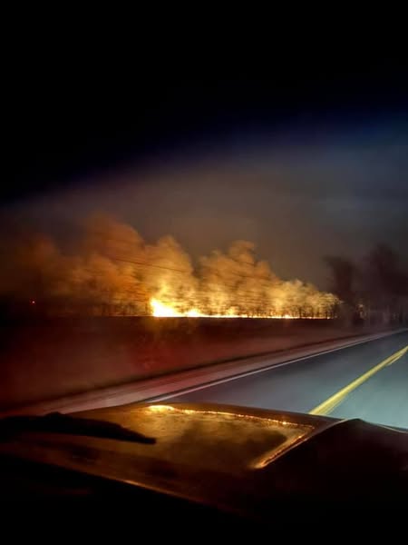 Fire in swamp near Lake Montcalm Rd and Caris Rd