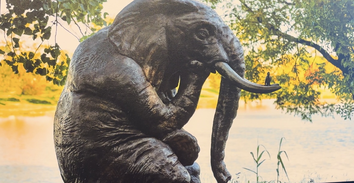 Eli the Elephant Sculpture