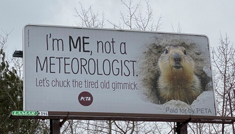 PETA-Punxsutawney-Groundhog-Meteorologist-billboard-768x437.jpg