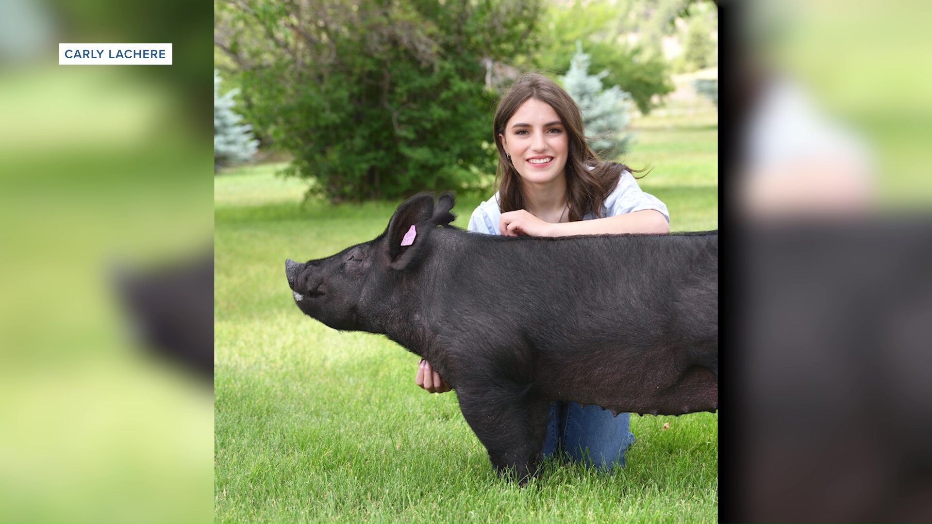 Montana 4-H Foundation awards $40K in scholarships