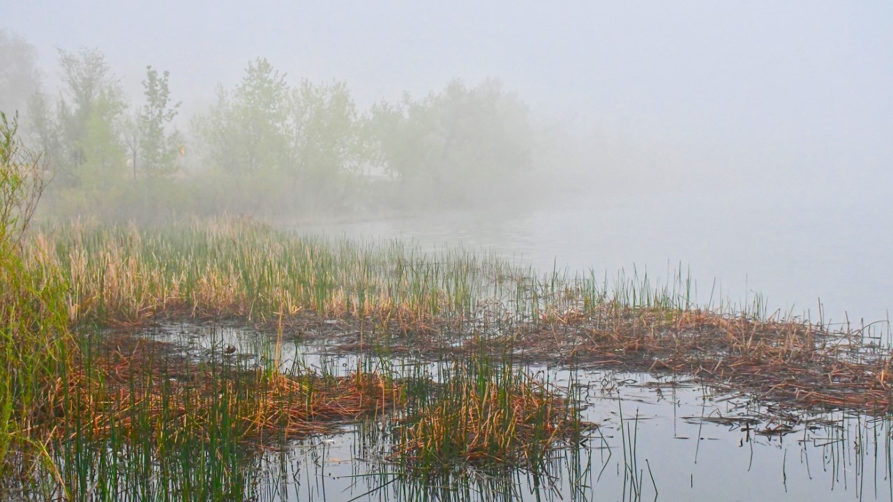 Foggy morning at Quail Lake