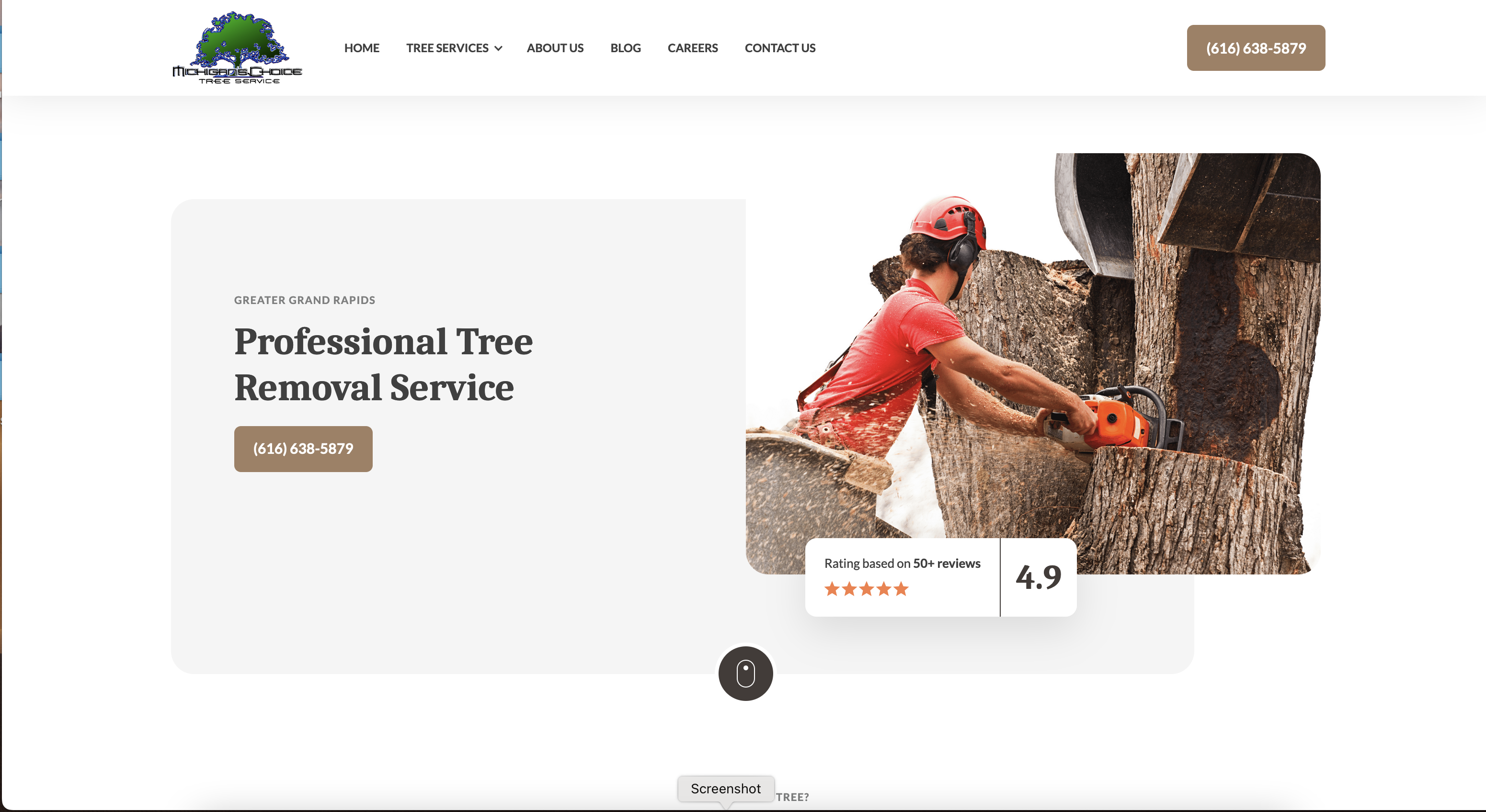 Michigan's Choice Tree Service